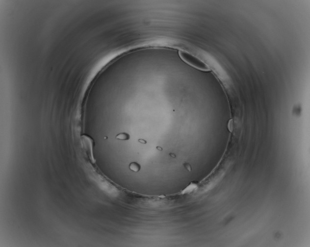 X0000101650948200807101228