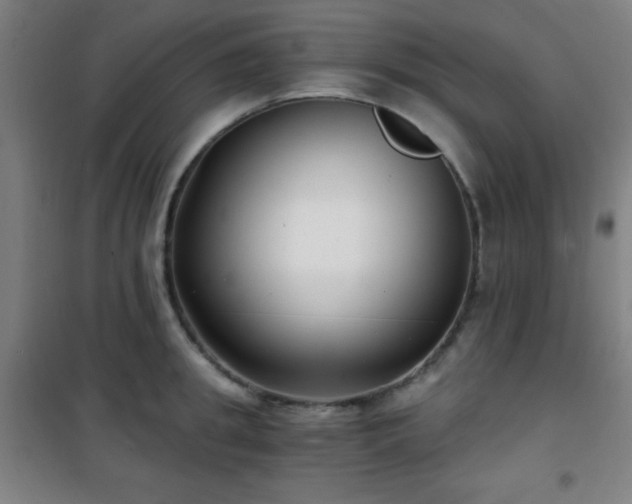 X0000101650949200807101228