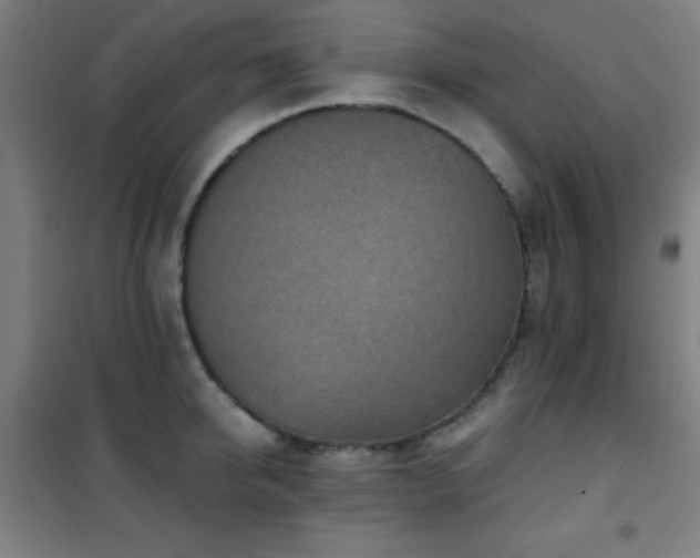 X0000101650950200807101228