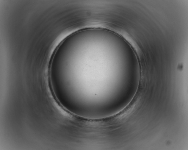 X0000101650951200807101228