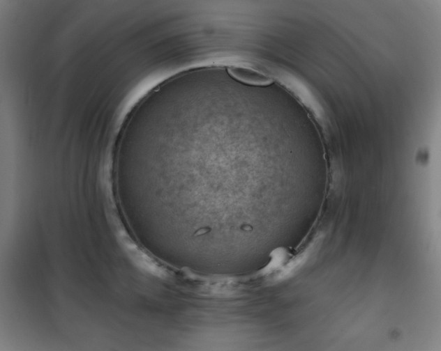 X0000101650952200807101228