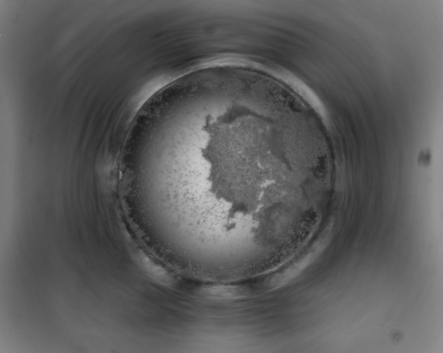 X0000101650953200807101228
