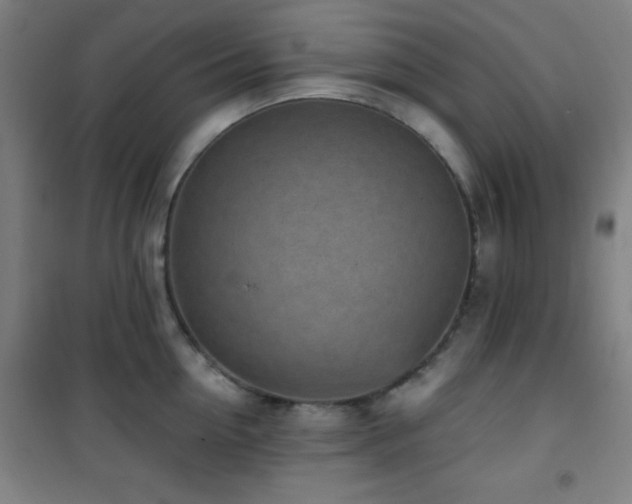 X0000101650954200807101228