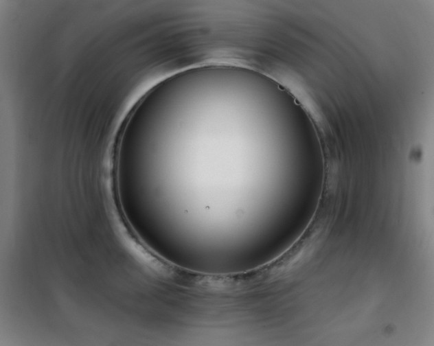 X0000101650955200807101228