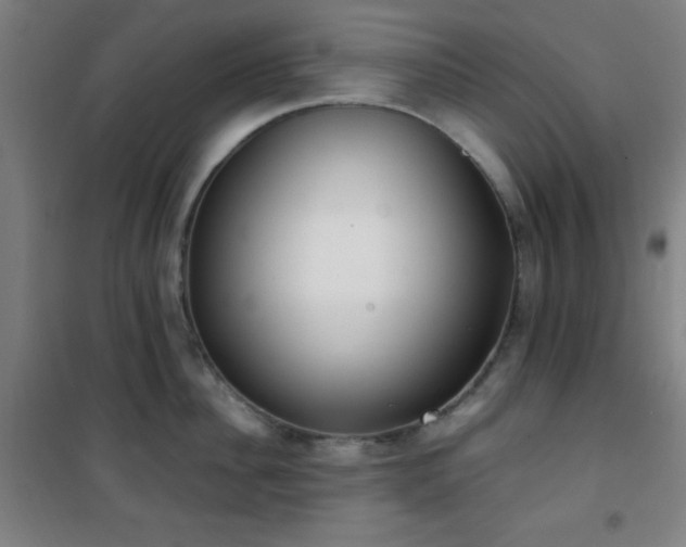 X0000101650956200807101228