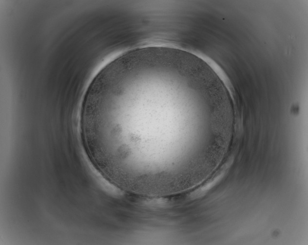 X0000101650957200807101228