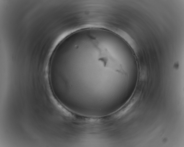 X0000101650958200807101228