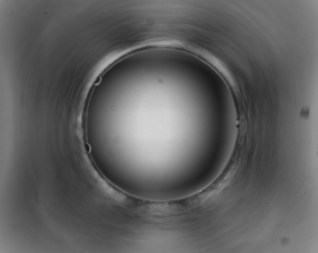 X0000101650959200807101228