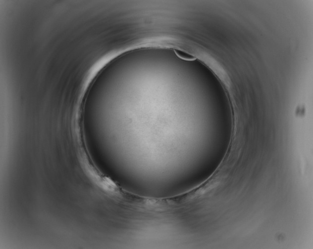 X0000101650960200807101228