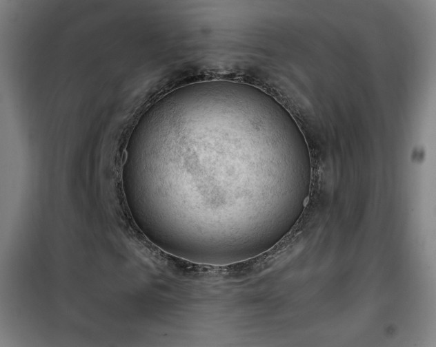 X0000101650961200807101228
