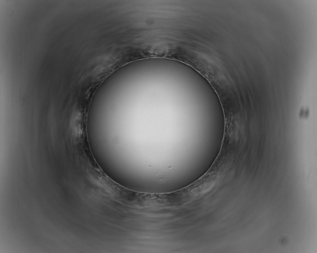X0000101650962200807101228