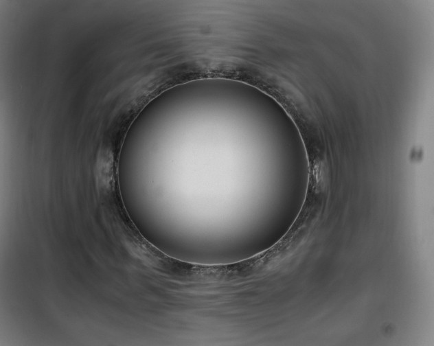 X0000101650963200807101228