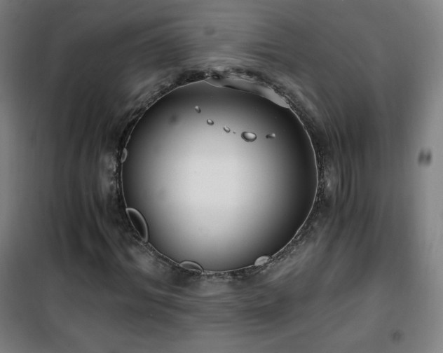 X0000101650964200807101228