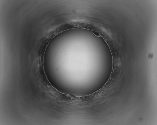 X0000101650965200807101228