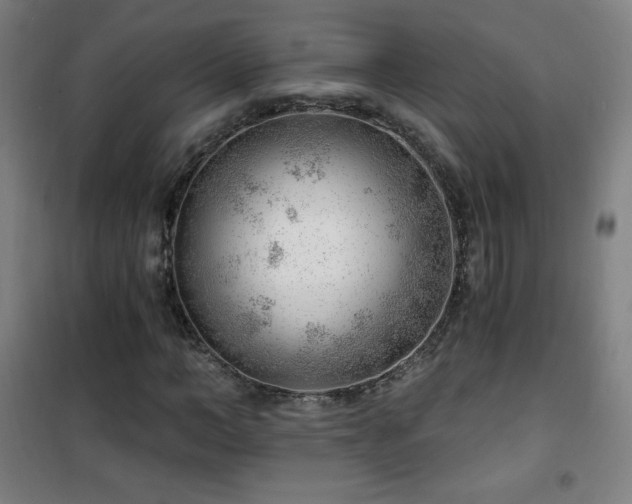 X0000101650966200807101228