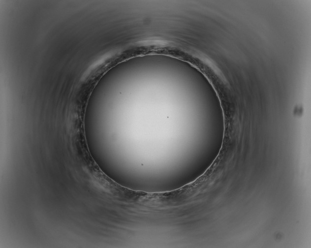 X0000101650967200807101228