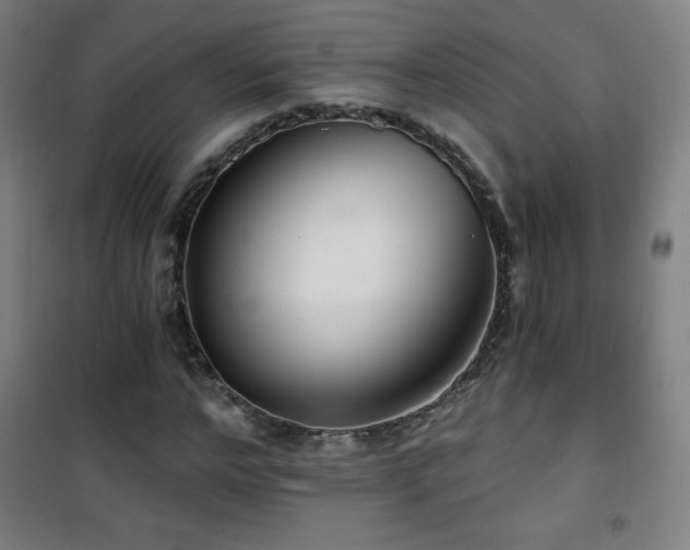 X0000101650968200807101227
