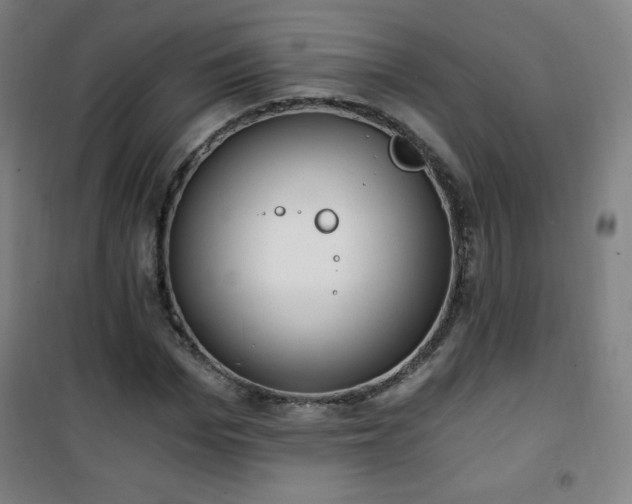 X0000101650969200807101227