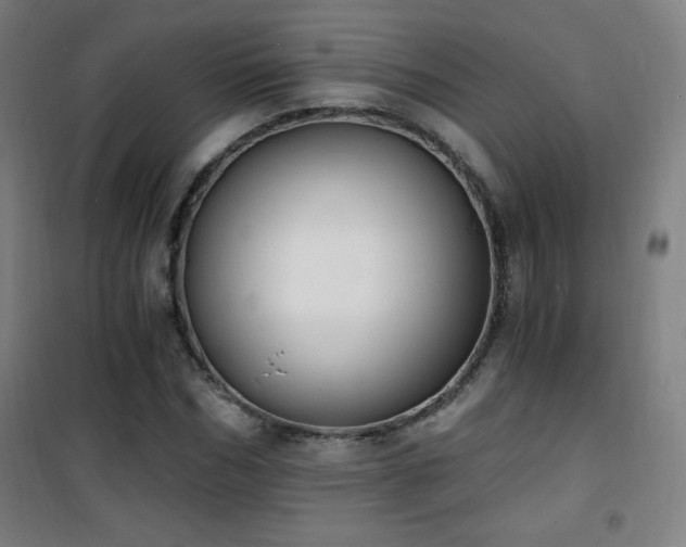 X0000101650970200807101227