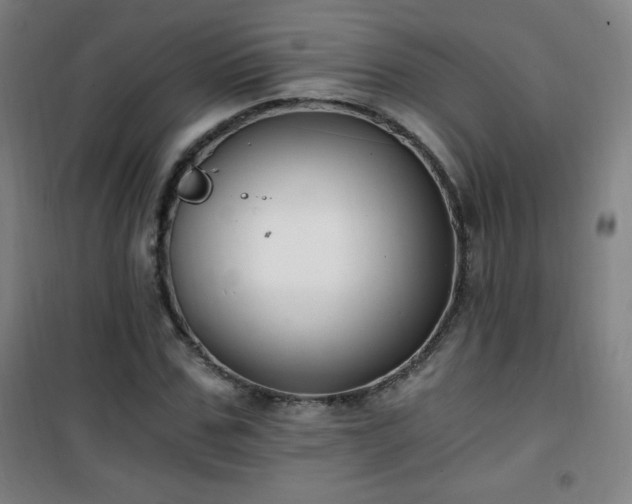 X0000101650971200807101227