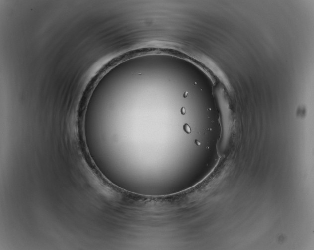 X0000101650972200807101227