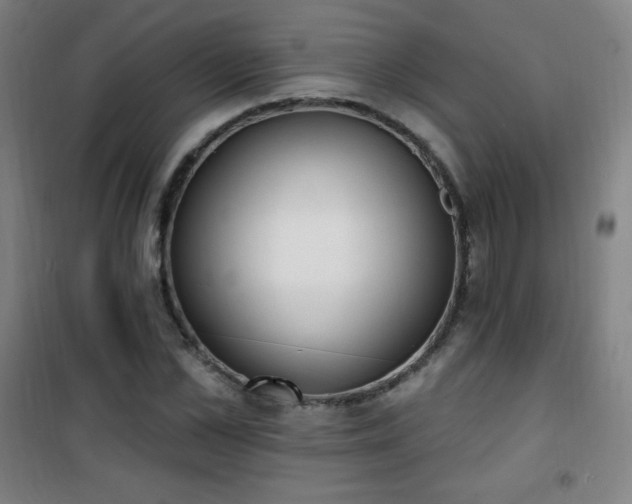 X0000101650973200807101227