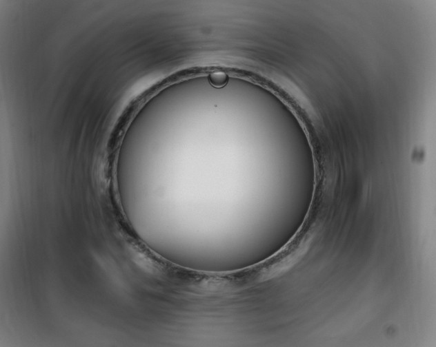 X0000101650974200807101227