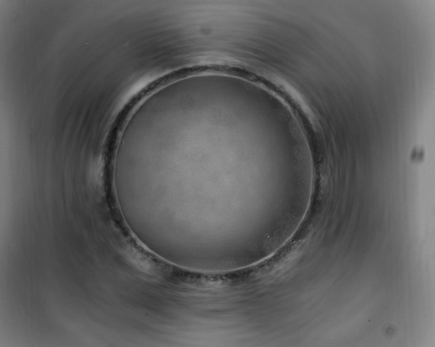 X0000101650975200807101227