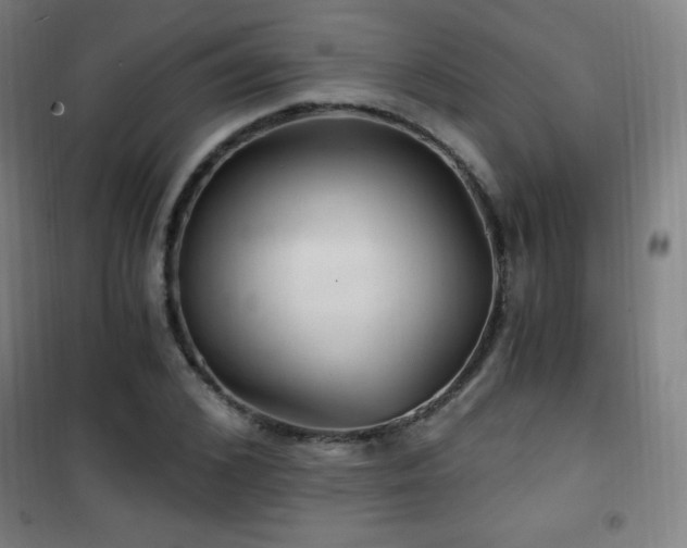 X0000101650976200807101227