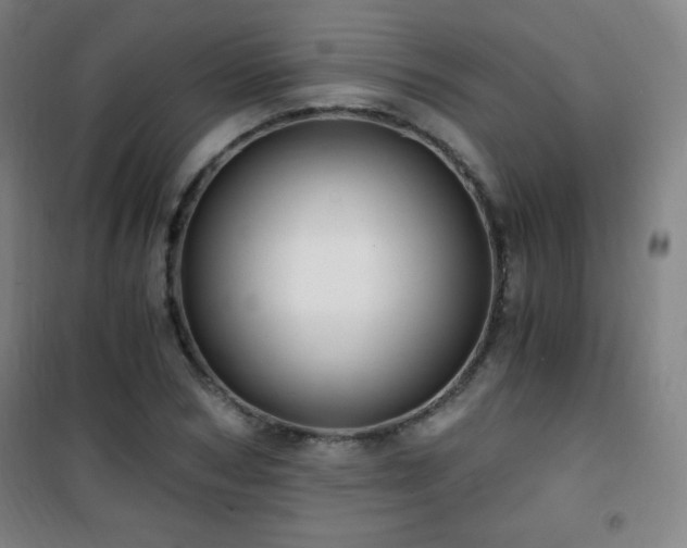 X0000101650978200807101227