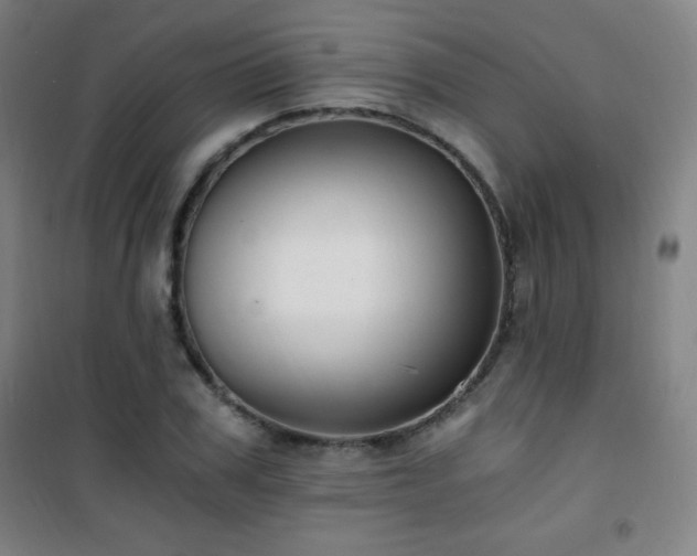 X0000101650979200807101227