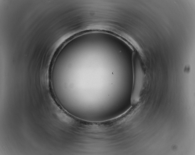 X0000101650980200807101227