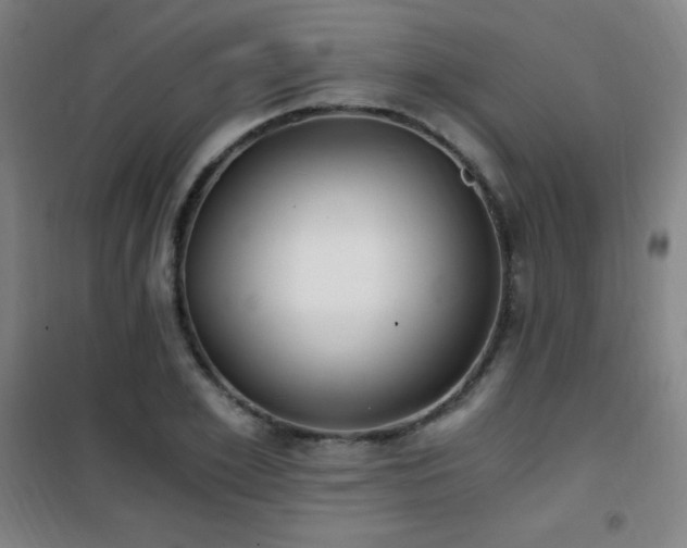 X0000101650981200807101227