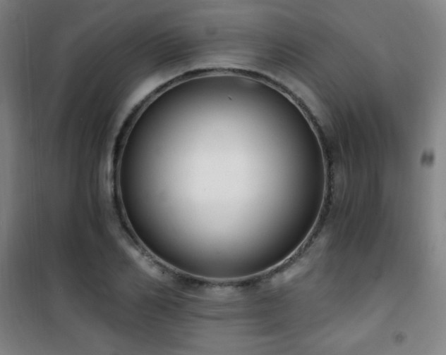 X0000101650982200807101227