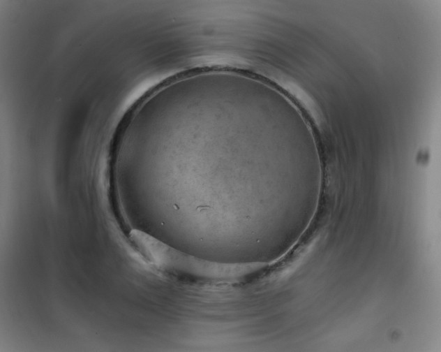 X0000101650983200807101227