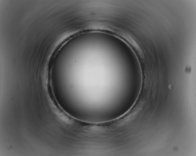 X0000101650984200807101227