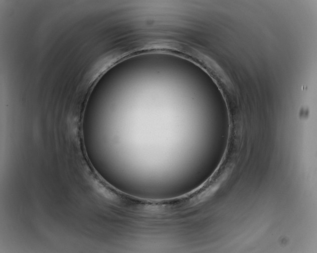 X0000101650985200807101227