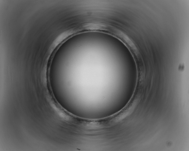 X0000101650986200807101227