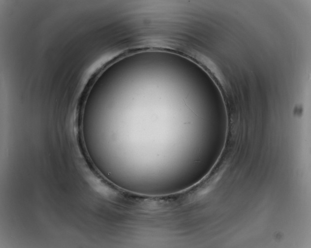 X0000101650987200807101227