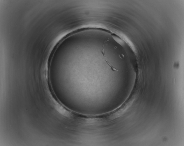 X0000101650988200807101227