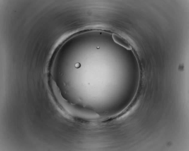 X0000101650989200807101227