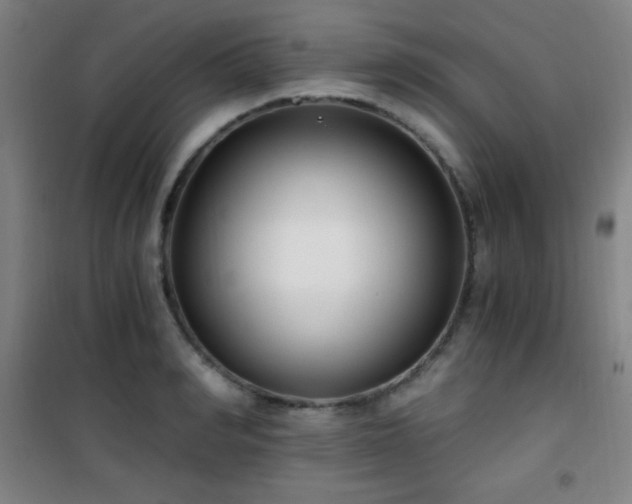X0000101650990200807101227