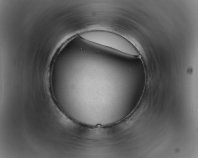 X0000101650992200807101227