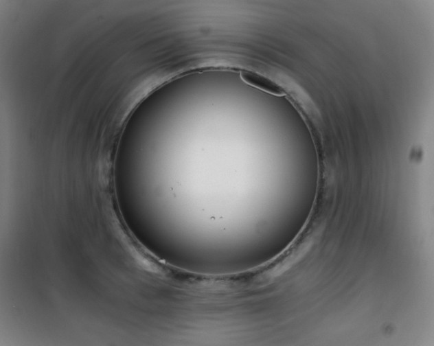 X0000101650993200807101227