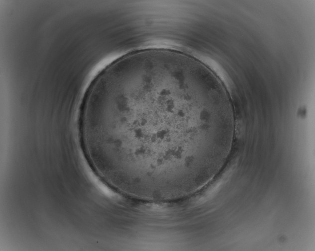X0000101650995200807101227