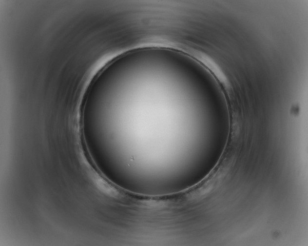 X0000101650996200807101227