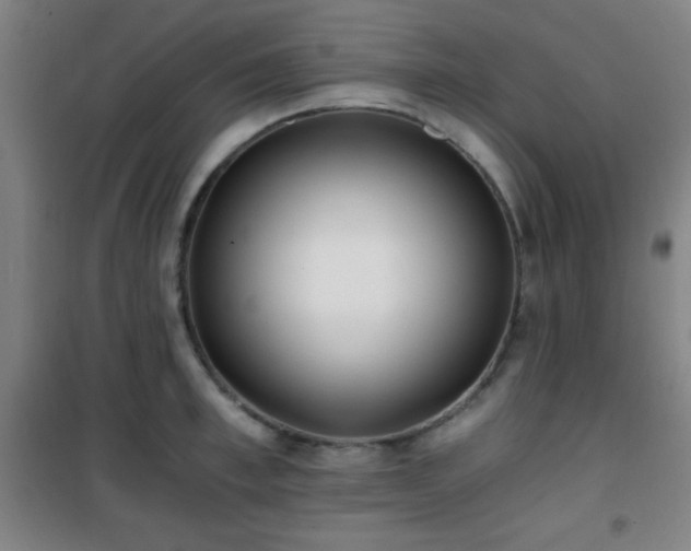X0000101650997200807101227