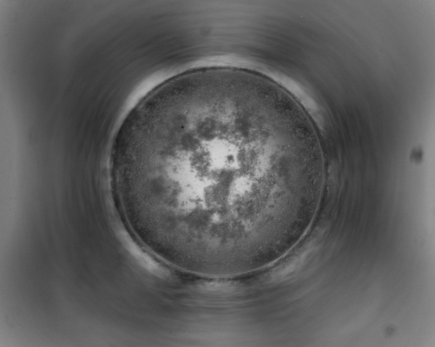 X0000101650998200807101227