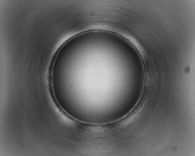 X0000101650999200807101227