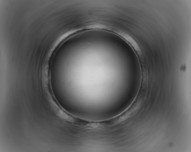 X0000101651000200807101227